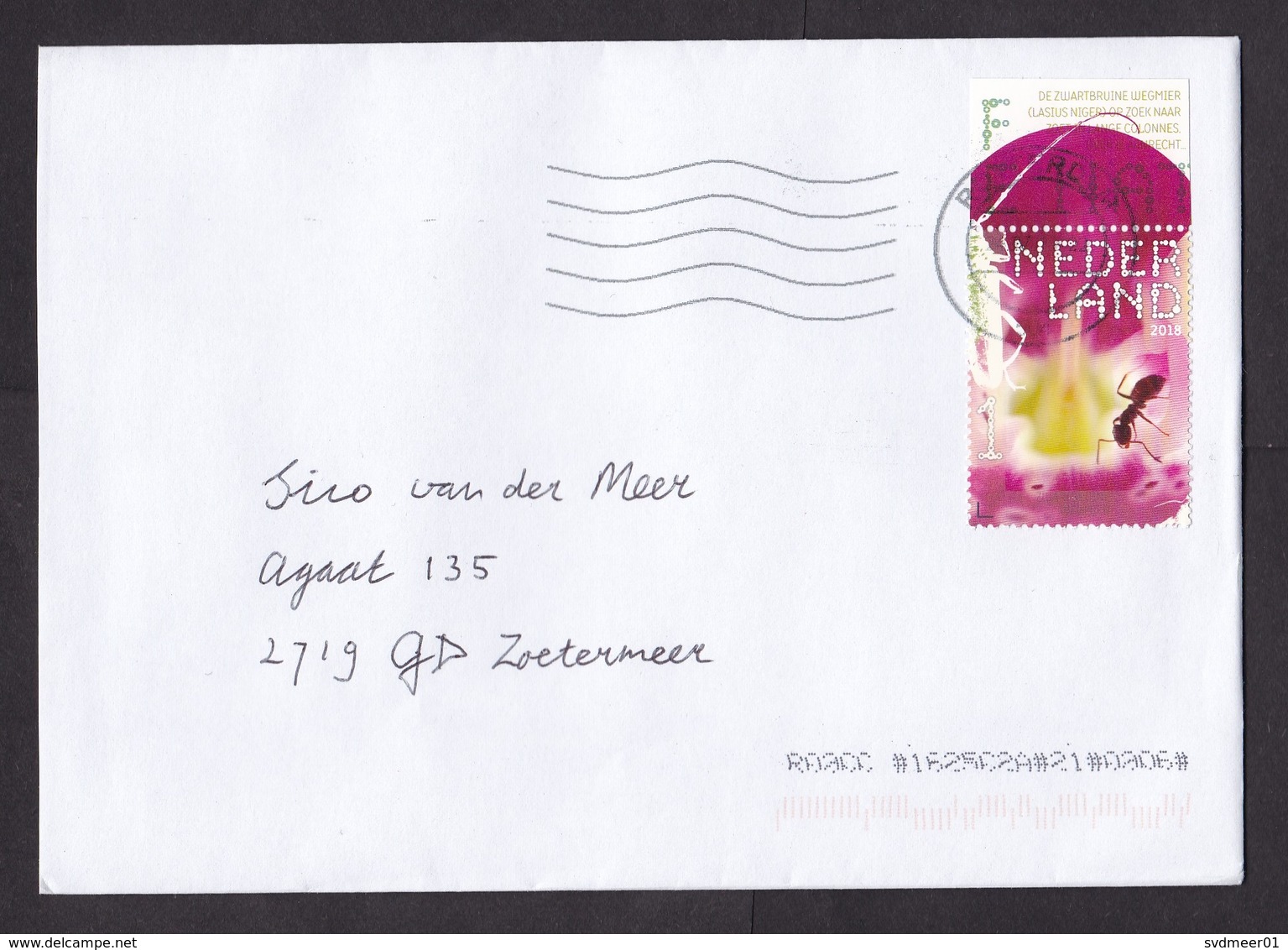 Netherlands: Cover, 2019, 1 Stamp + Tab, Road Ant, Insect (traces Of Use) - Lettres & Documents