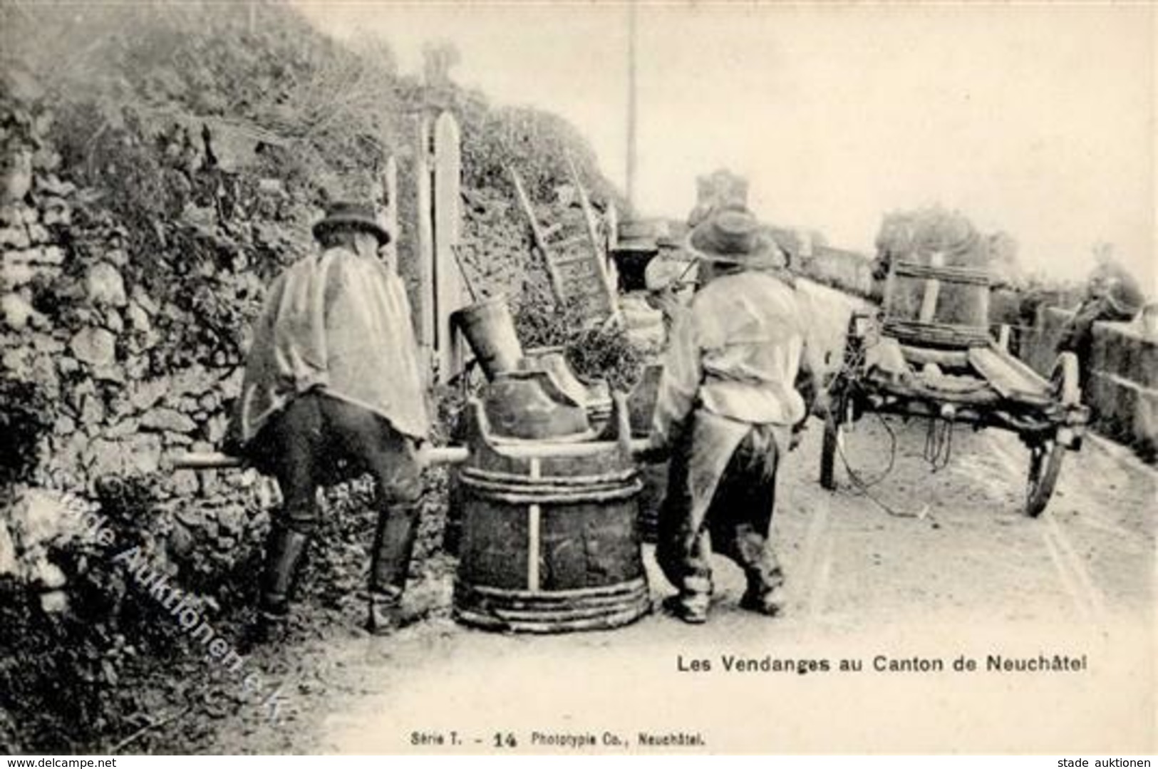 Wein Schweiz Weinlese Kanton Neuchatel I-II Vigne - Ausstellungen