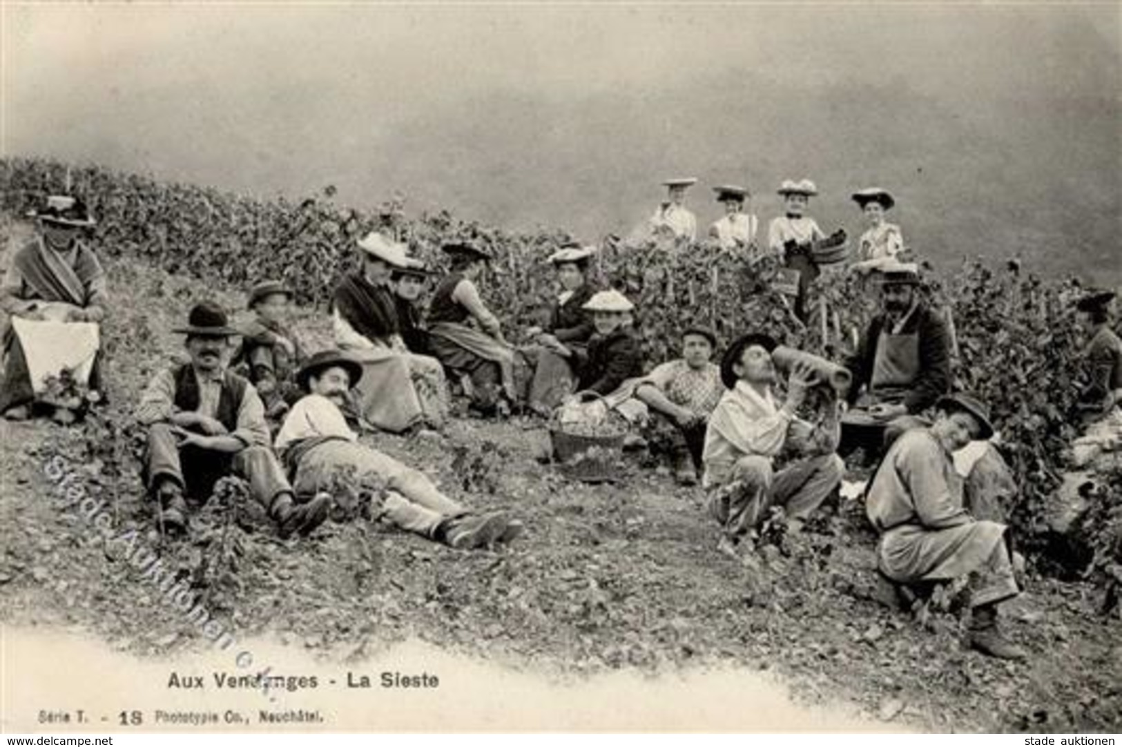 Wein Weinlese 1906 I-II Vigne - Expositions