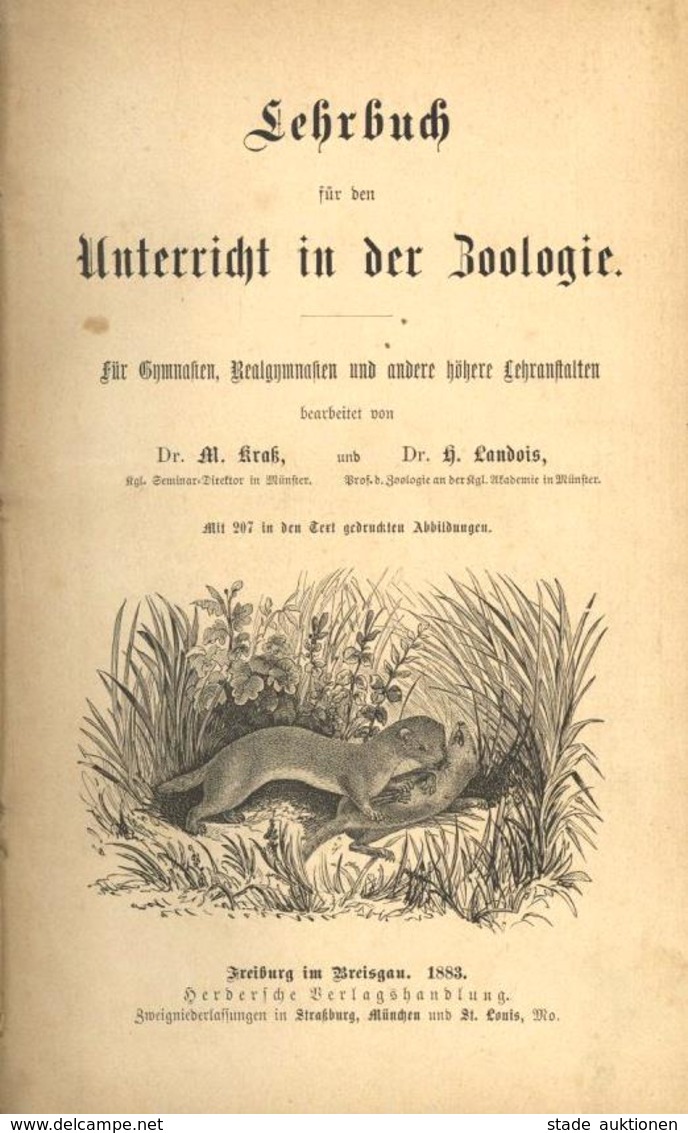 Buch Lehrbuch Für Den Unterricht In Der Naturbeschreibung Und In Der Biologie Kraß, M. Dr. U. Landois, H. Dr. 1883 Herde - Märchen, Sagen & Legenden