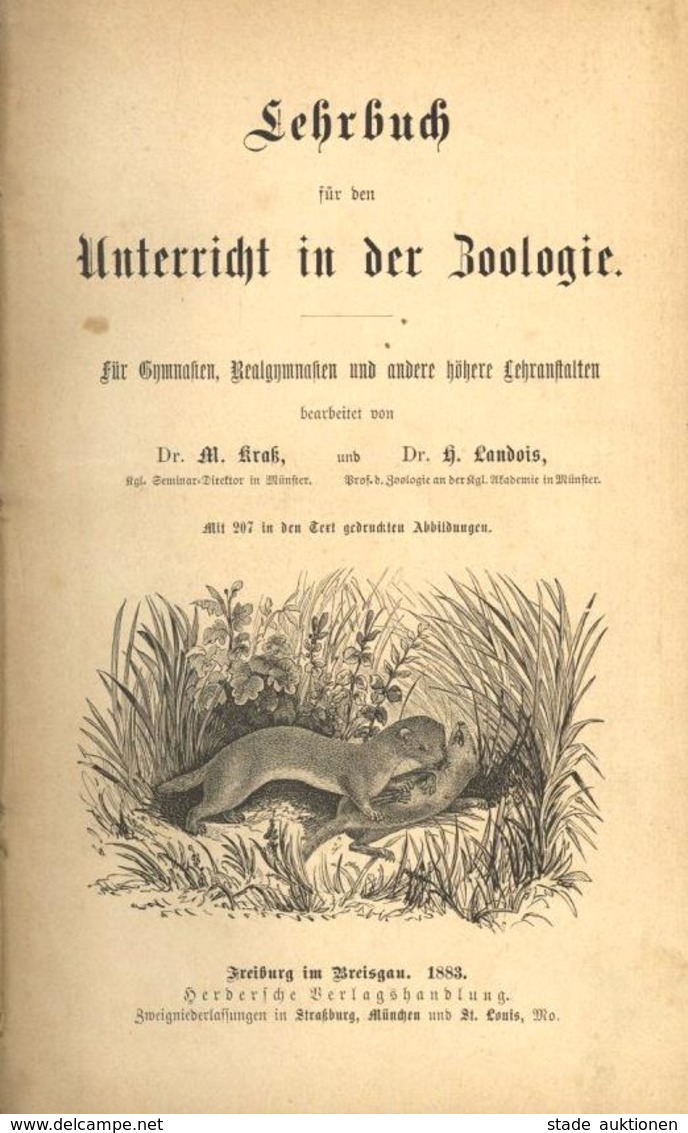 Buch Lehrbuch Für Den Unterricht In Der Naturbeschreibung Und In Der Biologie Kraß, M. Dr. U. Landois, H. Dr. 1883 Herde - Fairy Tales, Popular Stories & Legends