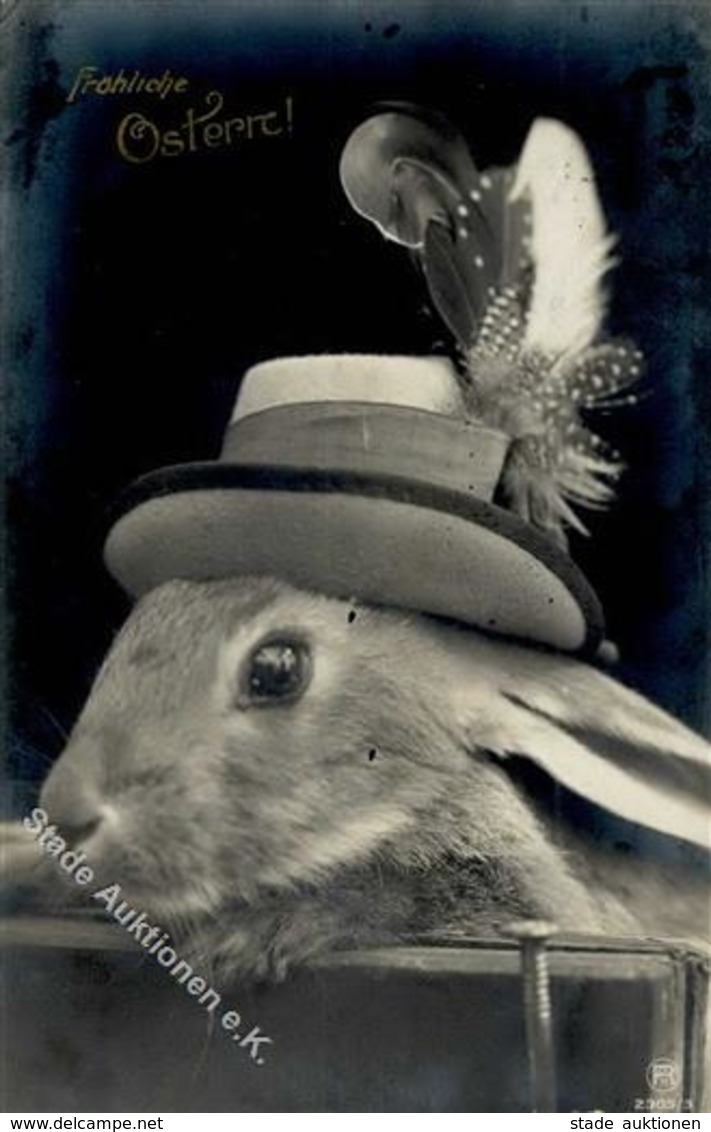 Ostern Hase Personifiziert Foto AK 1910 I-II Paques - Pâques