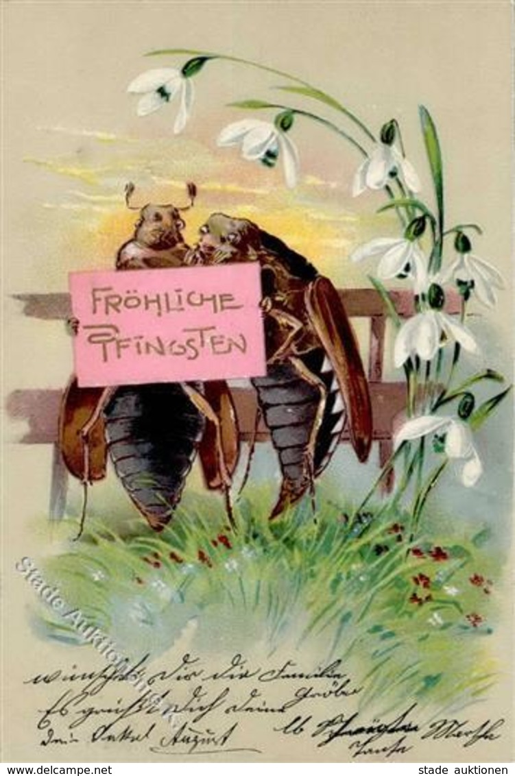 Maikäfer Personifiziert Pfingsten  Lithographie / Prägedruck 1904 I-II Hanneton - Insekten