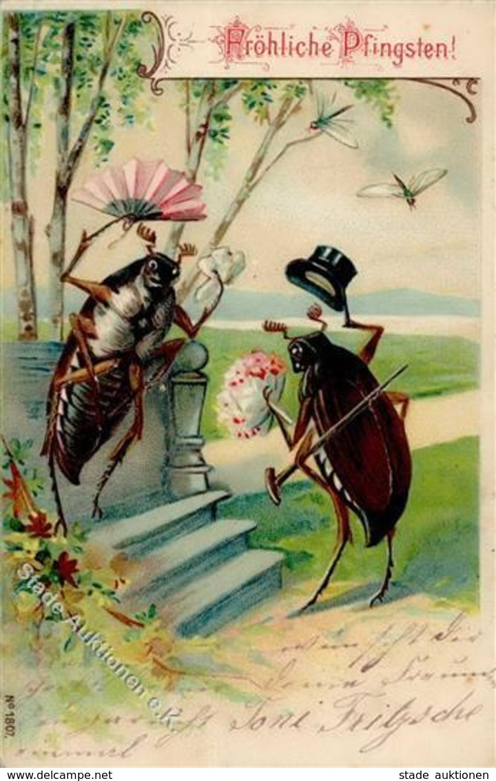 Maikäfer Personifiziert Pfingsten Prägedruck 1905 I-II Hanneton - Insects