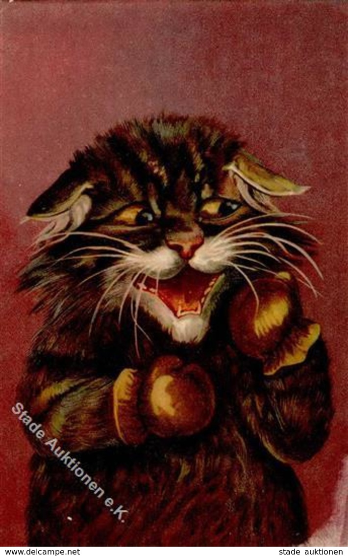 Katze Personifiziert Künstlerkarte I-II Chat - Gatti