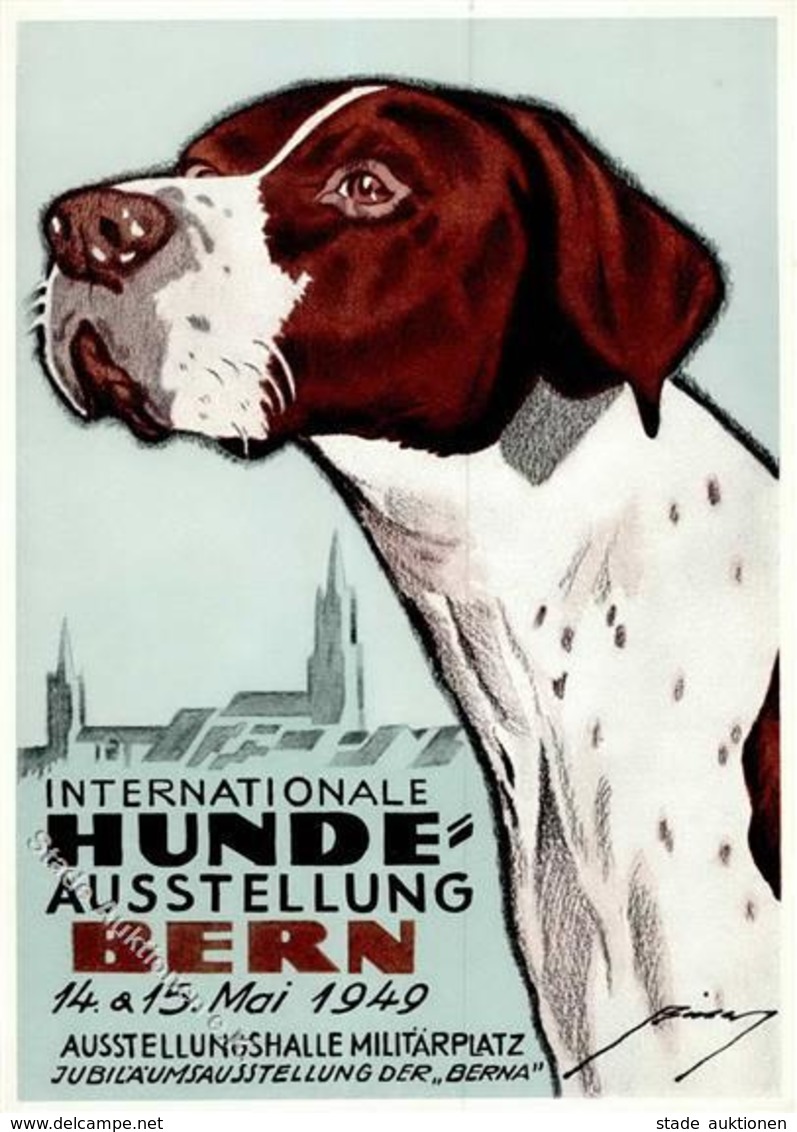 Hund Bern (3000) Schweiz Internationale Hunde Ausstellung  I-II Expo Chien Chien - Dogs