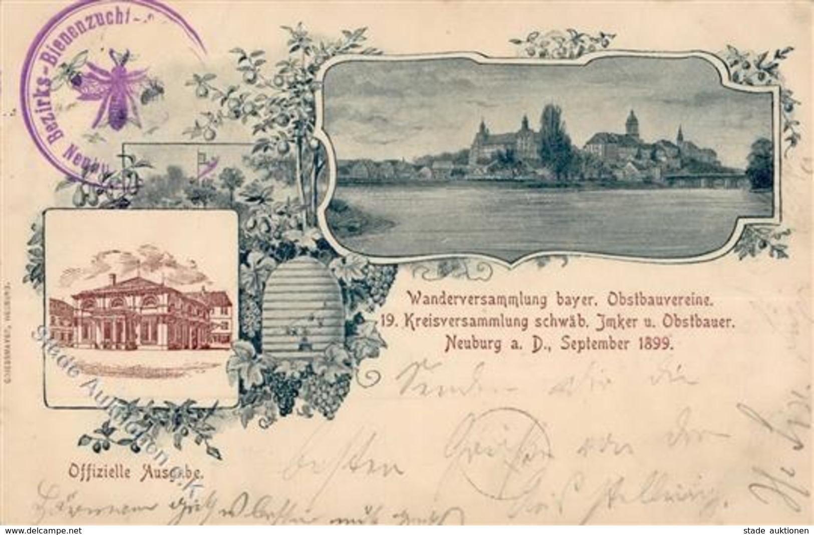 Biene Neuburg (8858) Bezirks Bienenzucht & Obstbau Verein 1899 I-II - Sonstige & Ohne Zuordnung