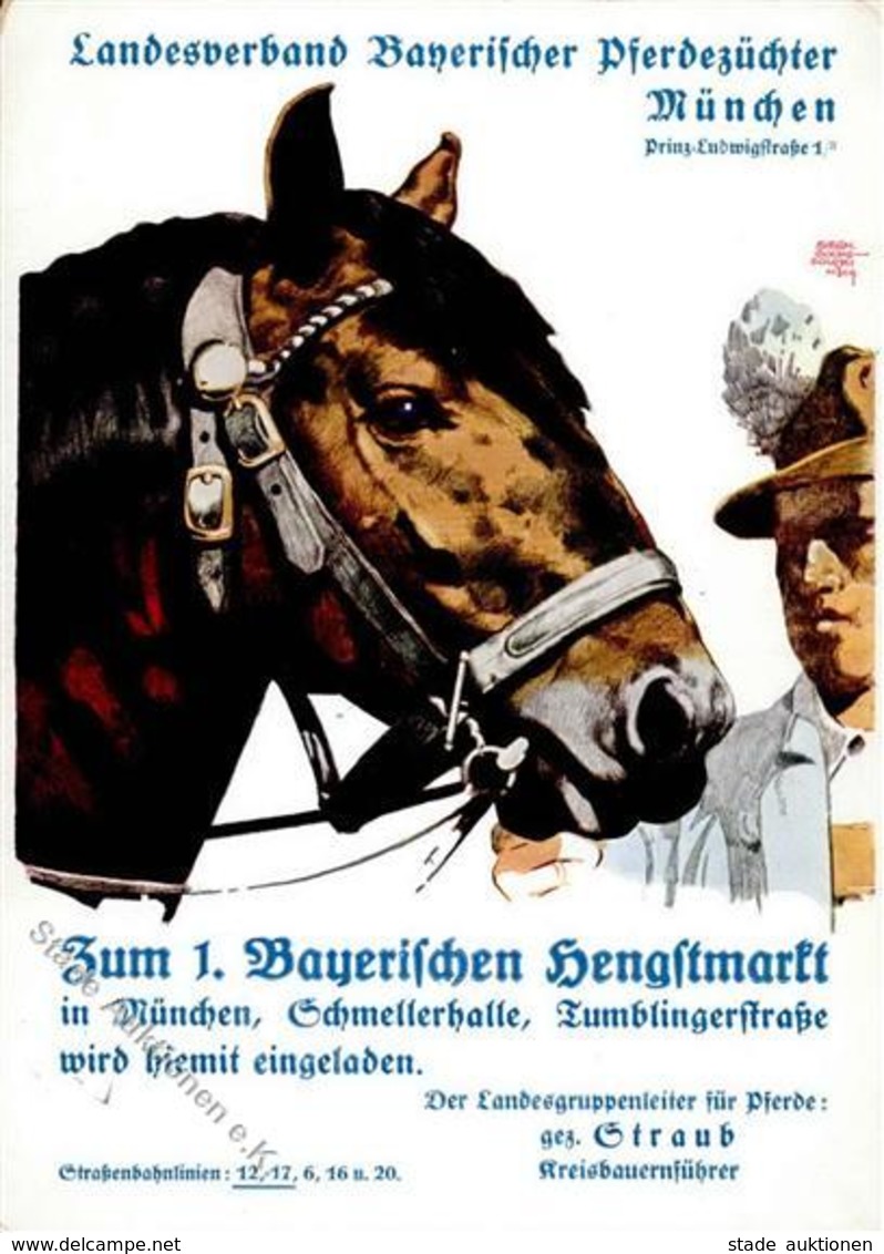 Pferd München (8000) Landesverband Bayerischer Pferdezüchter Hengstmarkt Sign. Buchodolsky, Siegm. Künstler-Karte I-II - Pferde
