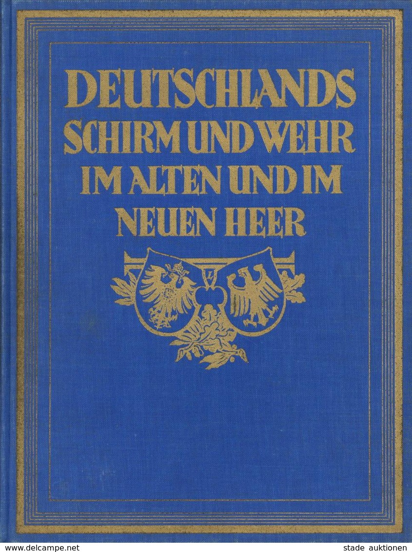 Militär Buch Deutschlands Schirm Und Wehr Im Alten Und Neuen Heer Lezius, Martin Dr. 1929 Militär Verlag 530 Seiten Mit  - Other & Unclassified