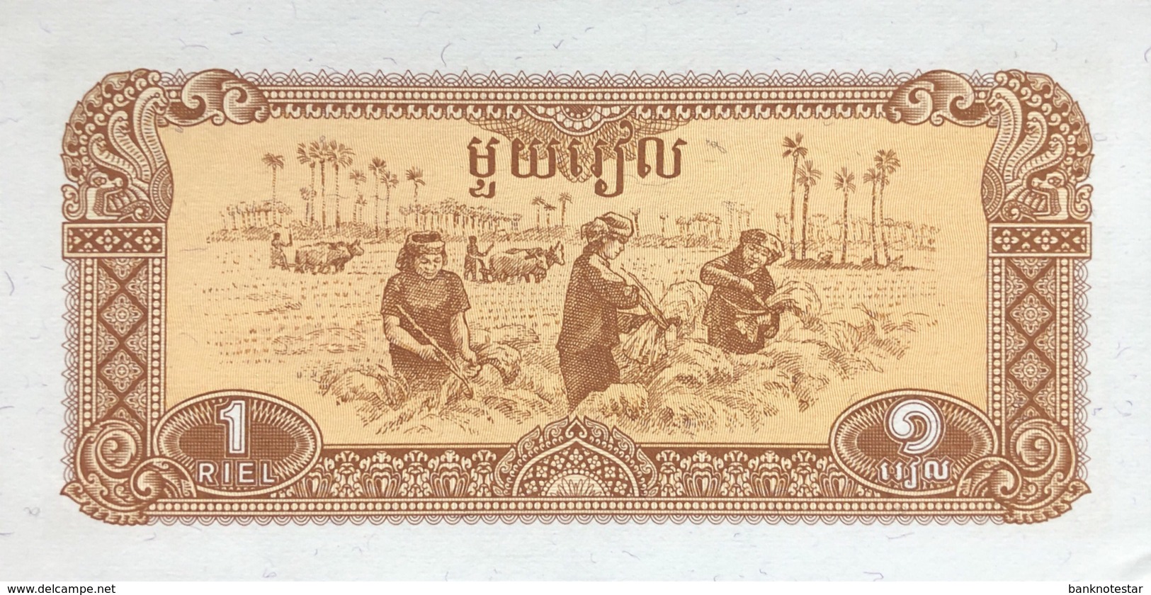 Cambodia 1 Riel, P-28 (1979) - UNC - Kambodscha