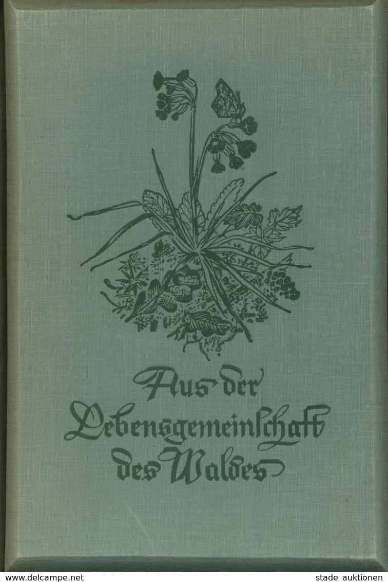 Raumbildalbum Mit Betrachter Aus Der Lebensgemeinschaft Des Waldes Dietrich, Kurt Dr. 1939 Verlag Otto Schönstein 150 Ra - War 1939-45