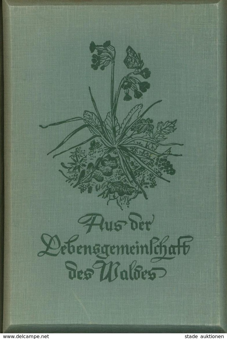 Raumbildalbum Mit Betrachter Aus Der Lebensgemeinschaft Des Waldes Dietrich, Kurt Dr. 1939 Verlag Otto Schönstein 150 Ra - Weltkrieg 1939-45