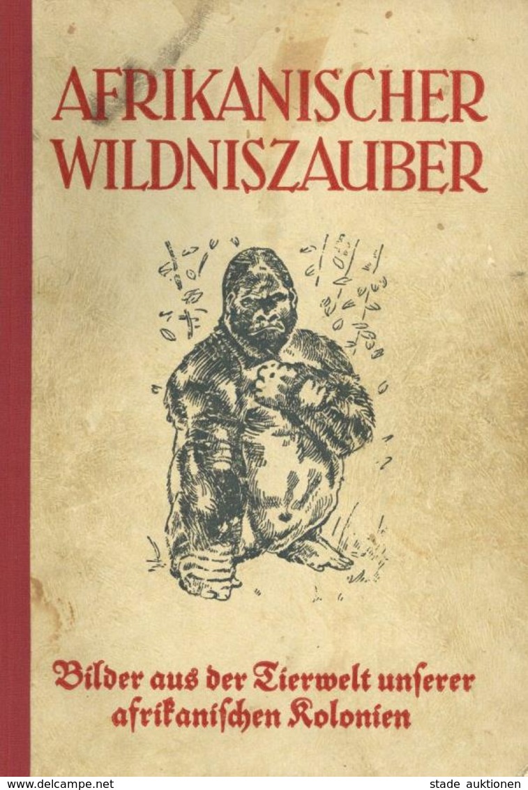 Sammelbild-Album Afrikanischer Wildniszauber Berger, Arthur Dr.  Ca. 1938 Verlag Neueste Nachrichten Goslar U. Salzgitte - Weltkrieg 1939-45