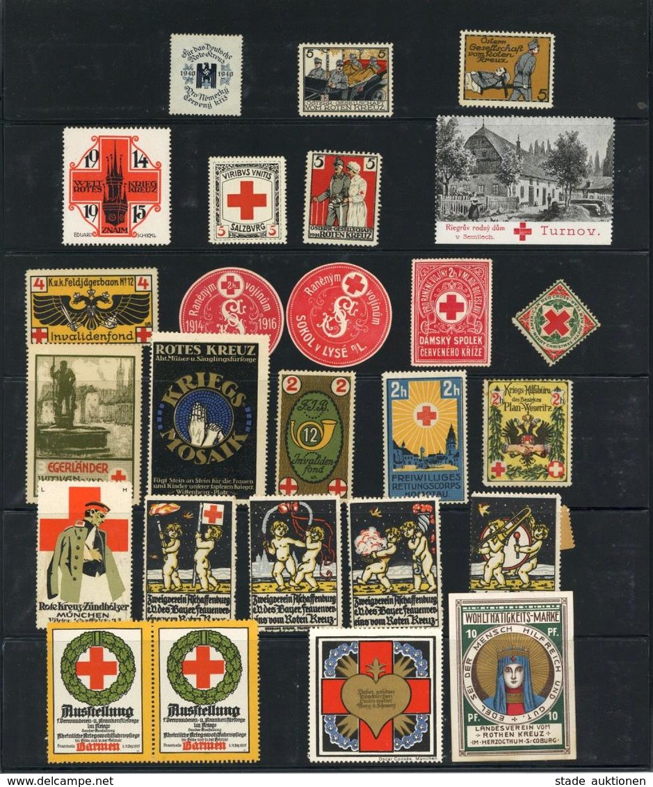 Vignetten WK II Rotes Kreuz Lot Mit über 100 Stück Auf Steckkarten I-II - Weltkrieg 1939-45