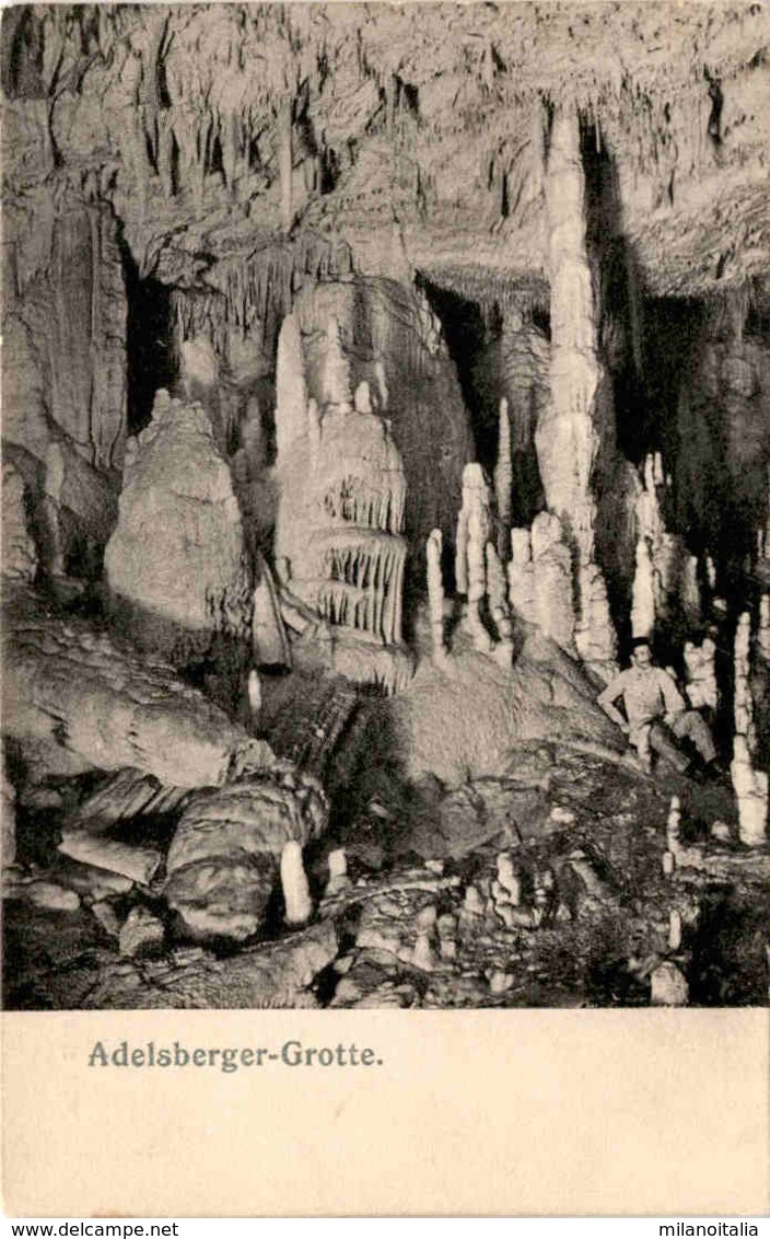 Adelsberger Grotte (2718) - Slowenien