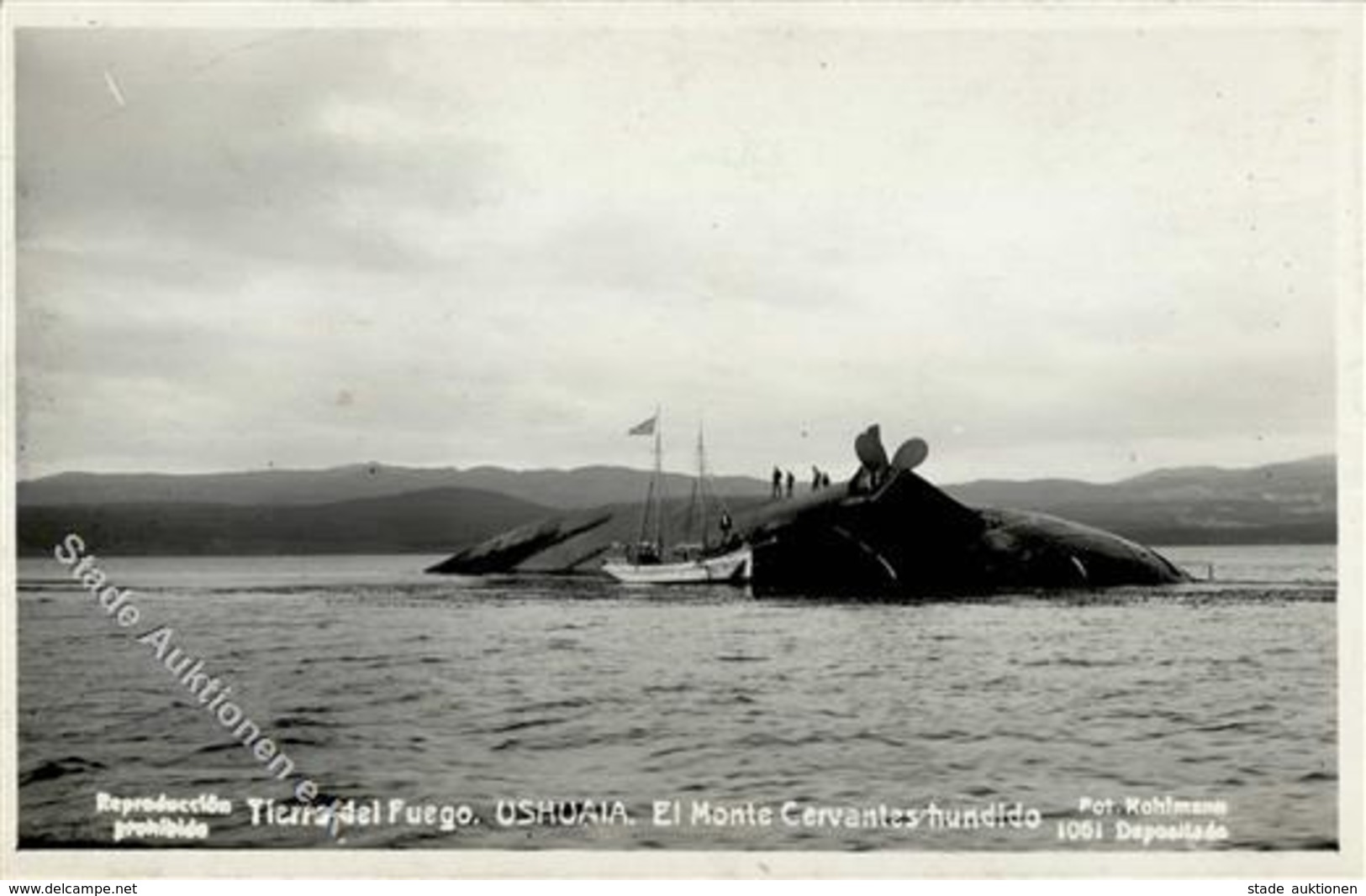 Marine Monte Cervantes Untergang Bei Ushuaia Foto AK I-II - Marines