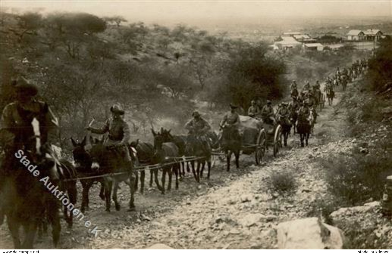 Kolonien Deutsch Südwestafrika 8'er Eselgespann Foto AK I-II Colonies - Ohne Zuordnung