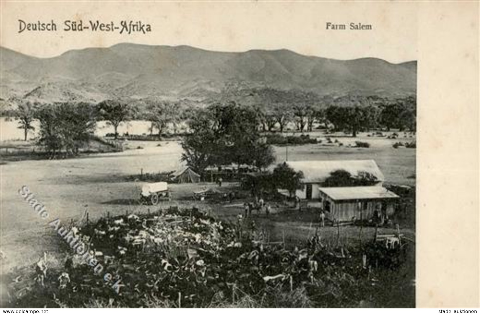 Kolonien Deutsch Südwestafrika Farm Salem I-II Colonies - Ohne Zuordnung