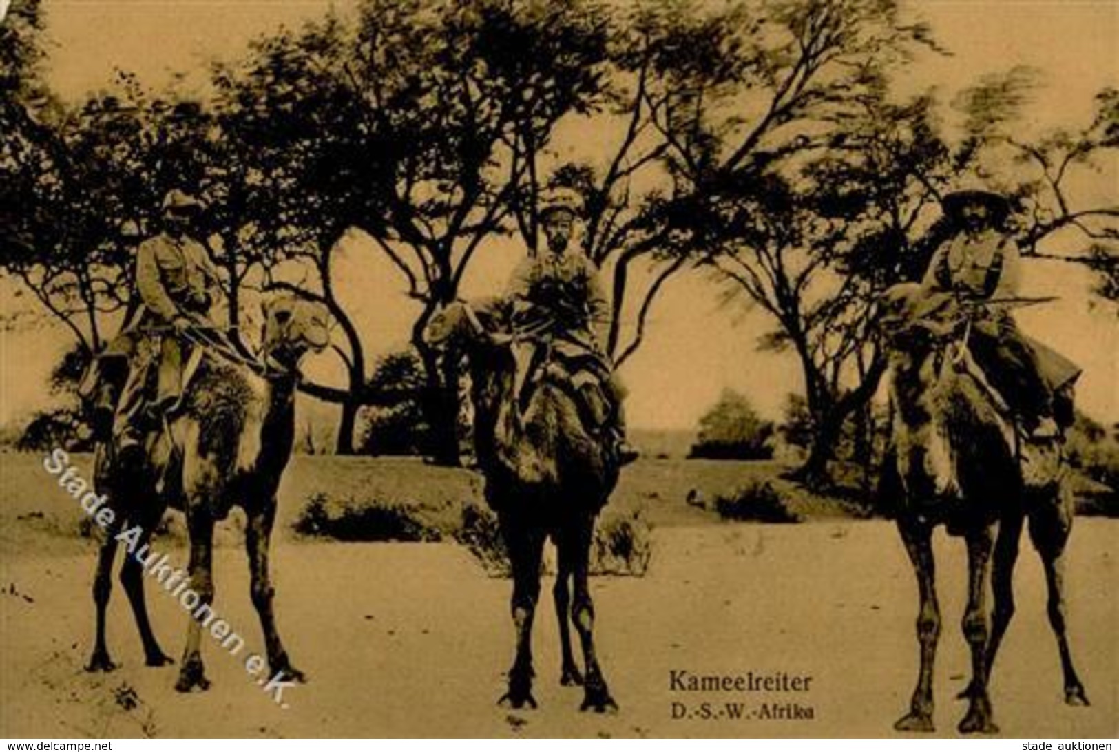 Kolonien Deutsch Südwestafrika Kamelreiter I-II Colonies - Ohne Zuordnung
