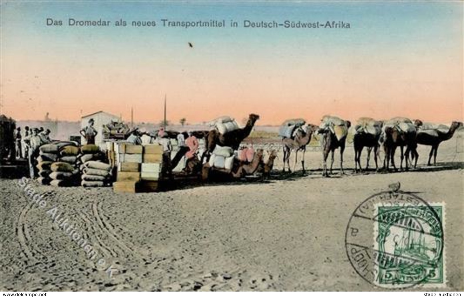 Kolonien Deutsch Südwestafrika Keetmanshoop Dromedar Als Transpotmittel 1912 I-II Colonies - Unclassified