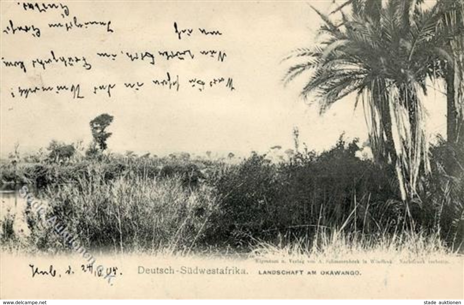 Kolonien Deutsch Südwestafrika Kub Landschaft Am Okawango 1905 I-II Colonies - Sin Clasificación