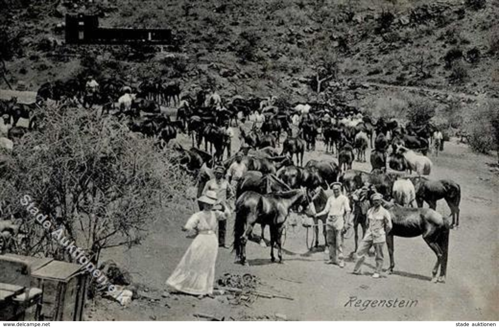 Kolonien Deutsch Südwestafrika Regenstein I-II Colonies - Unclassified