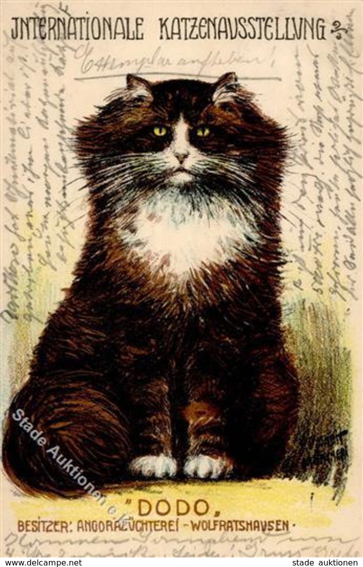 Berlin (1000) Internationale Katzenausstellung 1905 I- - Kamerun