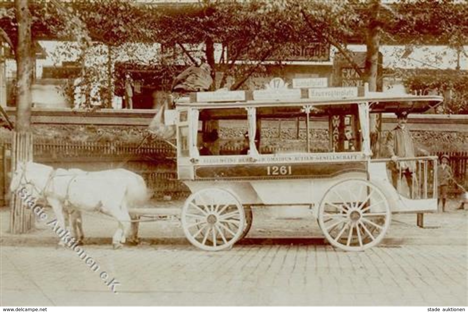 Berlin Mitte (1000) II (Stauchung) - Kamerun