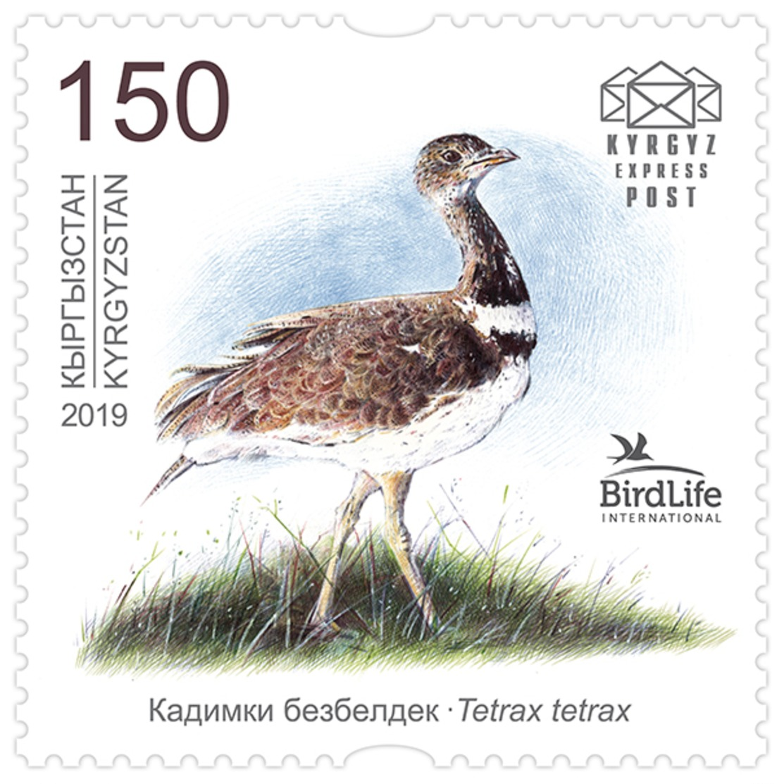 H01 Kyrgyzstan 2019 Mi# 129 Birds Little Bustard Vögel MNH - Kirgisistan