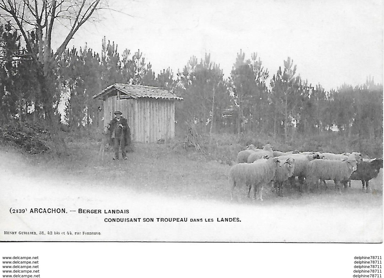 Arcachon - Berger Landais Conduisant Son Troupeau Dans Les Landes - Arcachon