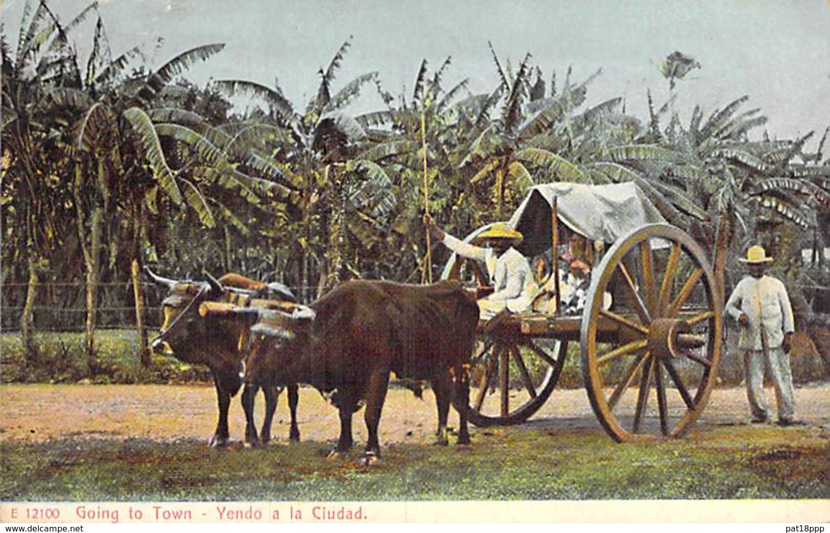 CUBA - Vendo A La Ciutad / Going To Town ( Attelage De Boeufs) - CPSM PF - CARAÏBES ( Caribbean Caraïbes Karibik ) - Cuba