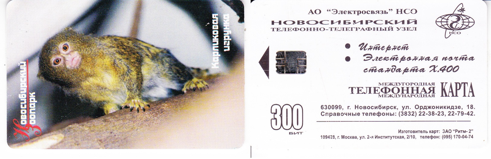 Phonecard   Russia. Novosibirsk  300 Bit. - Russie