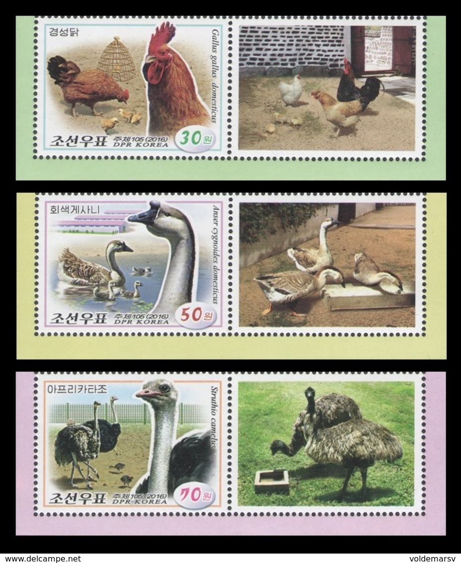 North Korea 2016 Mih. 6269/71 Fauna. Poultry (with Labels) MNH ** - Korea, North