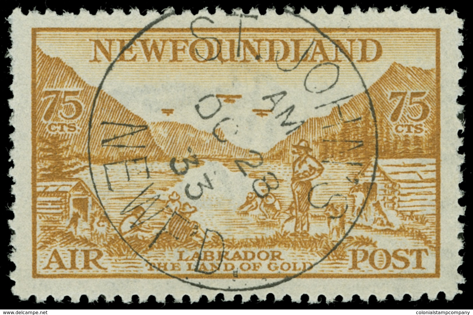 O Canada / Newfoundland - Lot No.286 - 1857-1861