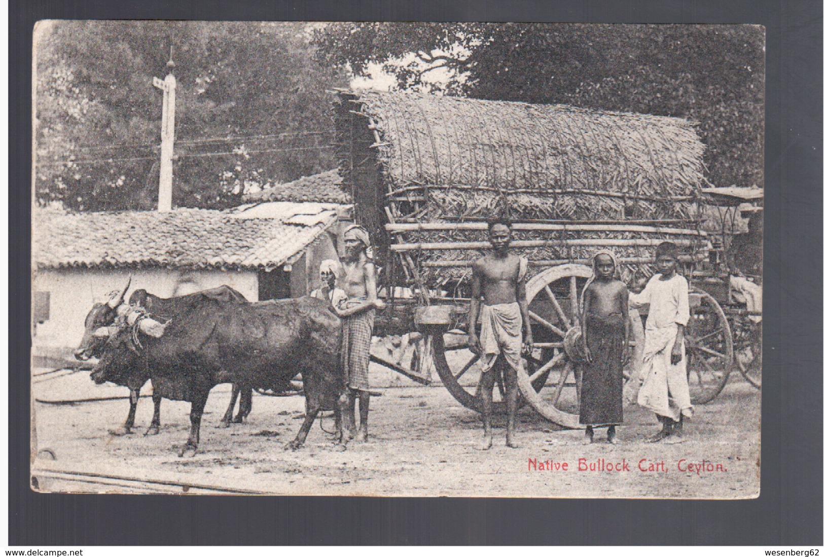 CEYLON Native Bullock Cart 1908 OLD POSTCARD - Sri Lanka (Ceylon)