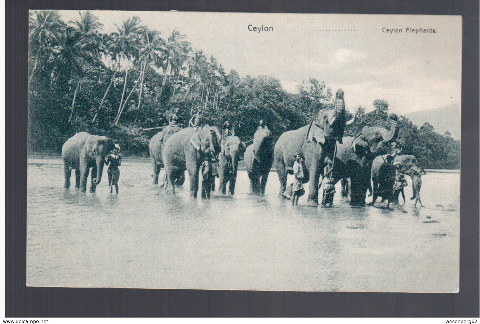 CEYLON Elephants Ca 1910 OLD POSTCARD - Sri Lanka (Ceylon)