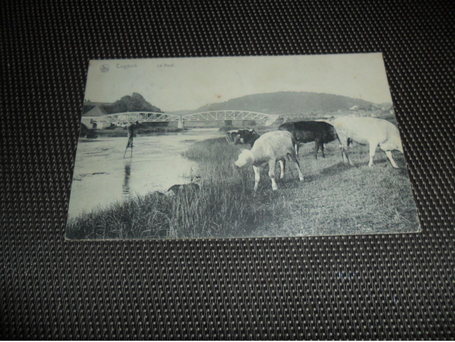 Beau lot de 20 cartes postales de Belgique       Mooi lot van 20 postkaarten van België   - 20 scans