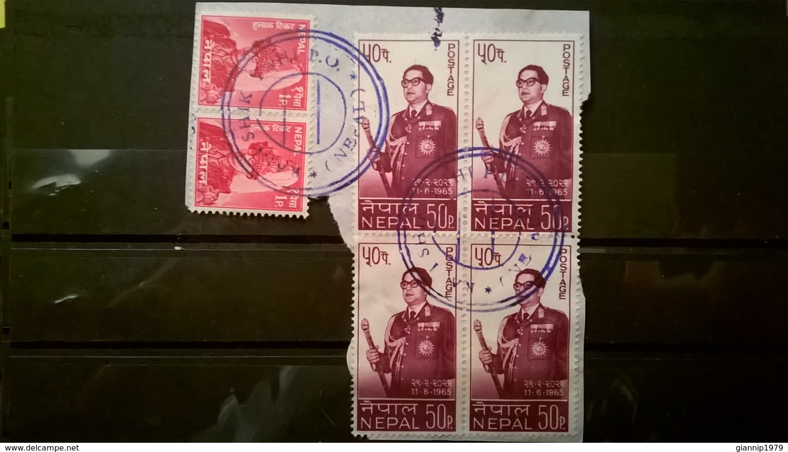 FRANCOBOLLI STAMPS NEPAL 1965 USED SU FRAMMENTO ANNIVERSARY KING MAHENDRA ANNULLO RANI SHIK YAHI FRAGMENT BLOCCO - Nepal