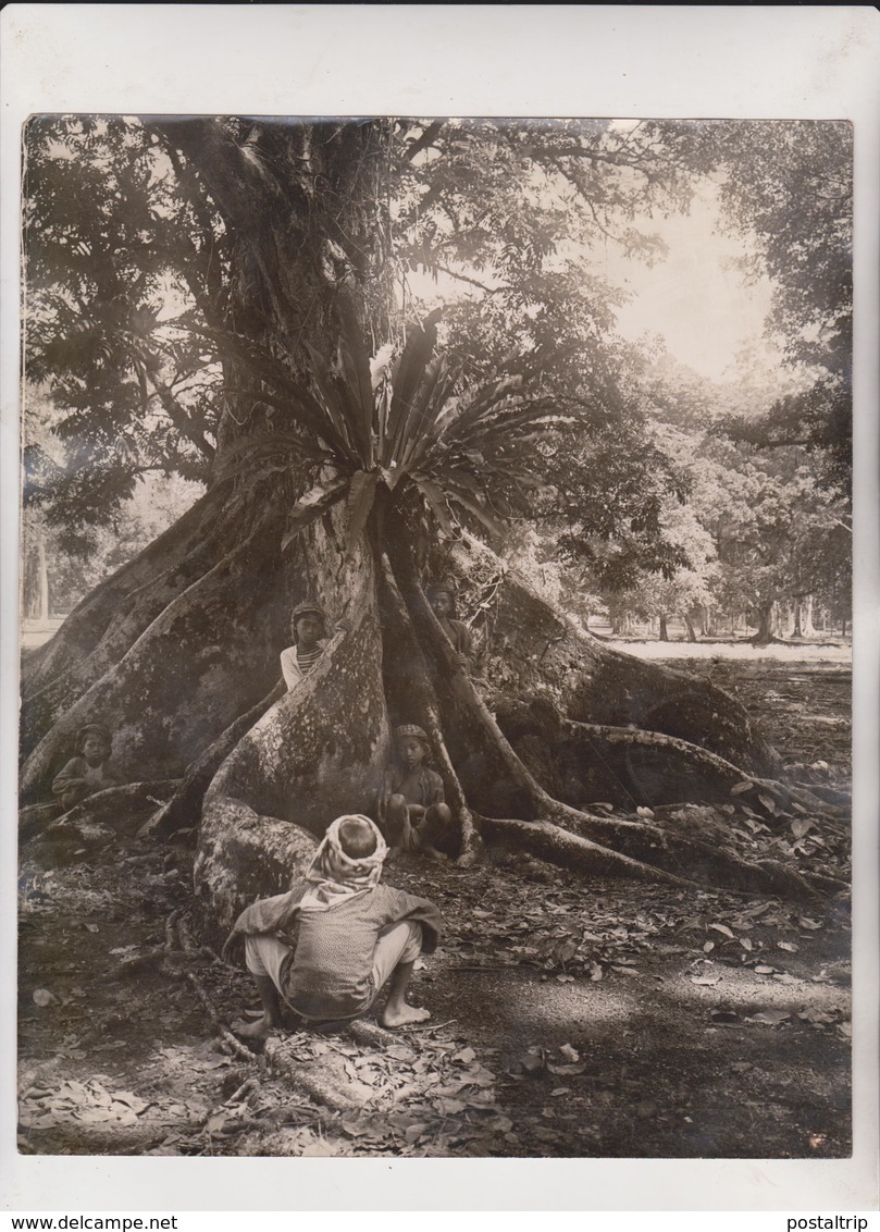 BUITENZORG JAVA INDONESIE INDONESIA  A HALL OF FAME FOR TREES   Fonds Victor FORBIN (1864-1947) - Lugares