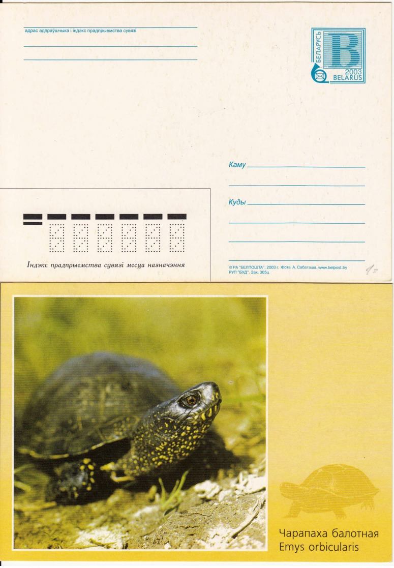 BELARUS - Entier Postal - Tortue - Belarus