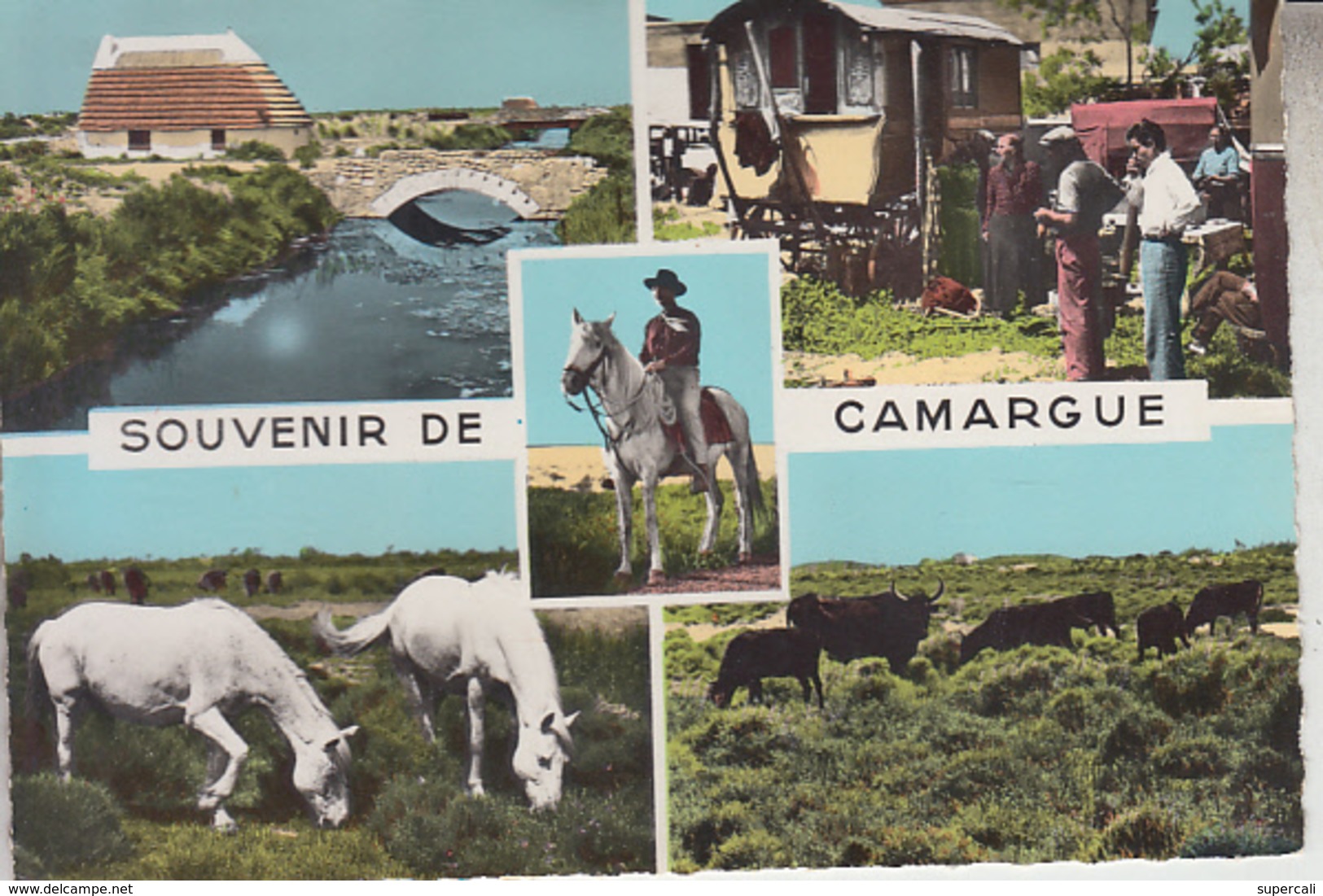 RT33.014   SOUVENIR DE CAMARGUE. CHEVAUX . TAUREAUX. ROULOTTE .N° 69-84 EDIT S.E.P.T. NICE - Other & Unclassified