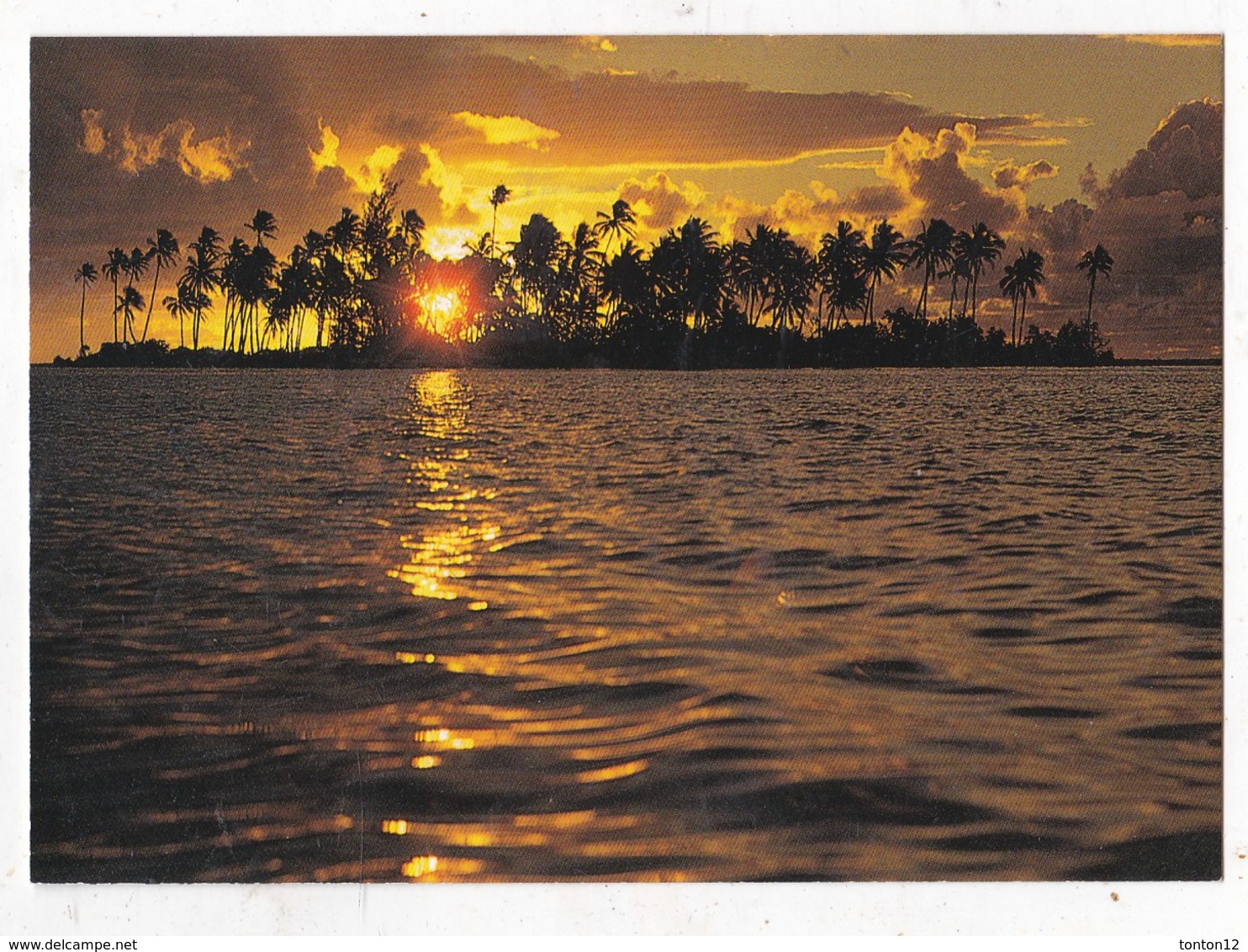 Carte Postale Tout Les Charmes Du Pacifique - Polynésie Française