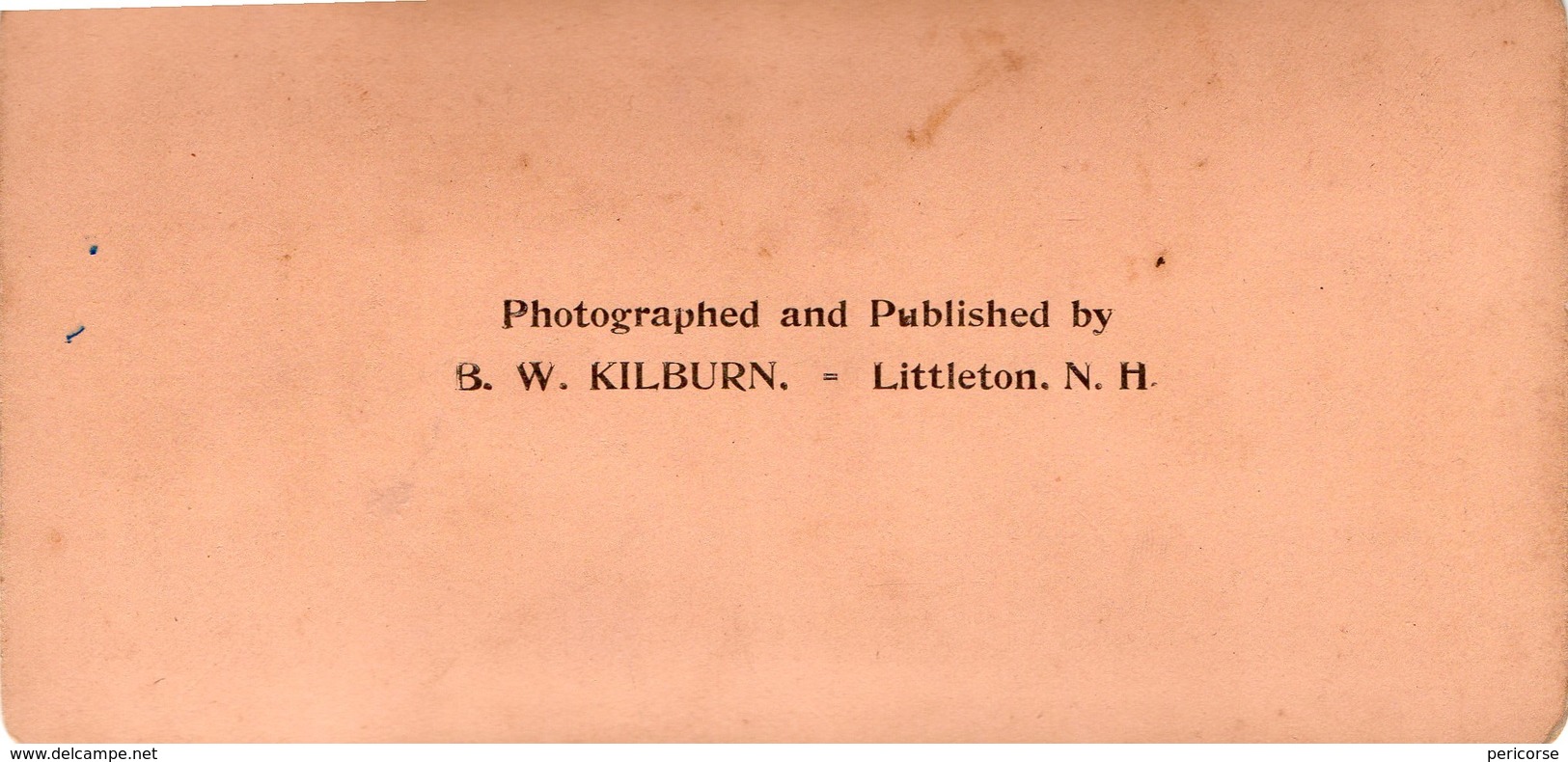 ( Photo Stéréoscopique Albumine De B.W. Kilburn) - Photos Stéréoscopiques