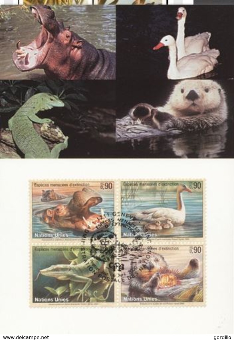 United Nations NY Maximum Card Endangered Species 2000 Loutre De Mer Hippopothame Oie Sauvage - Maximum Cards