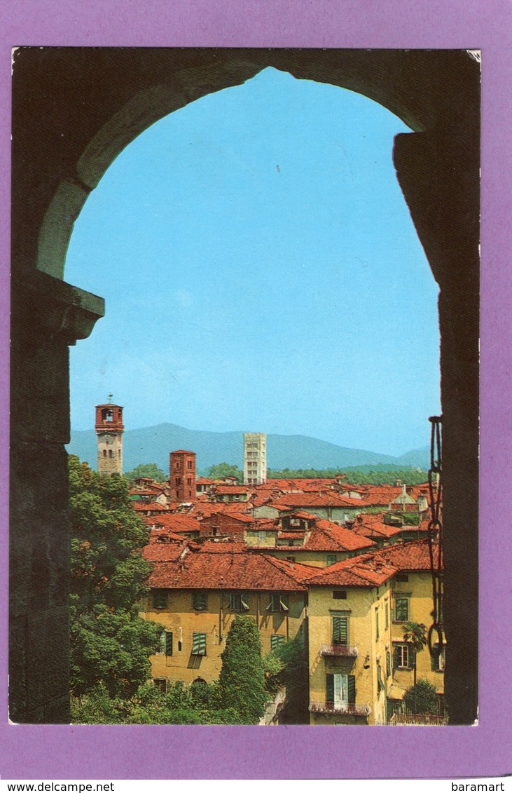 LUCCA Panorama Dal Campanile Di S. Martino Panorama Vu Du Clocher De S. Martino - Lucca