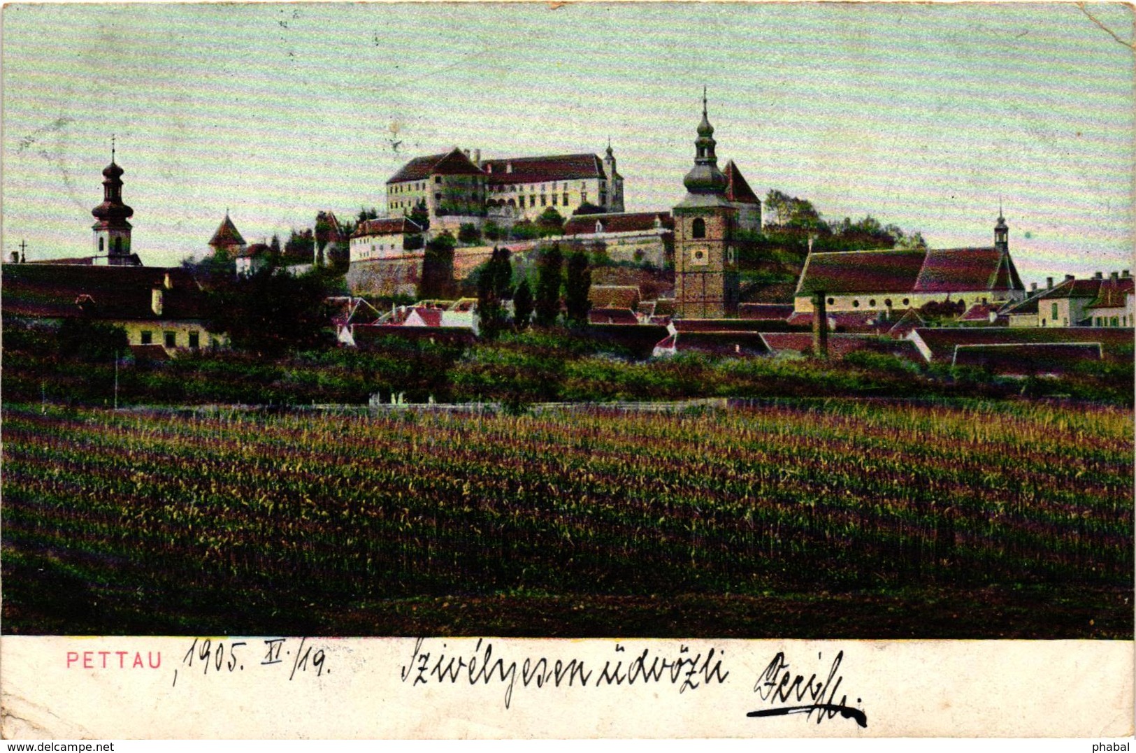 Slovenia, Ptuj, Pettau, Town Scene, Old Postcard 1905 - Slovenia