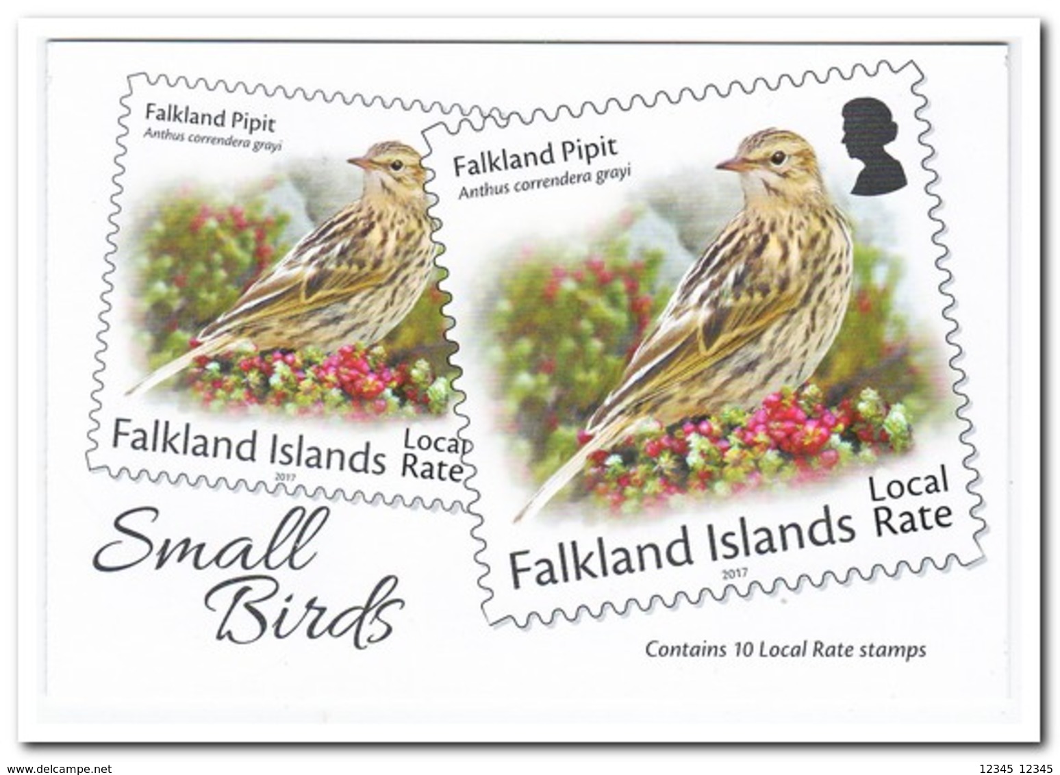 Falkland 2017, Postfris MNH, Birds ( Booklet ) - Falklandeilanden