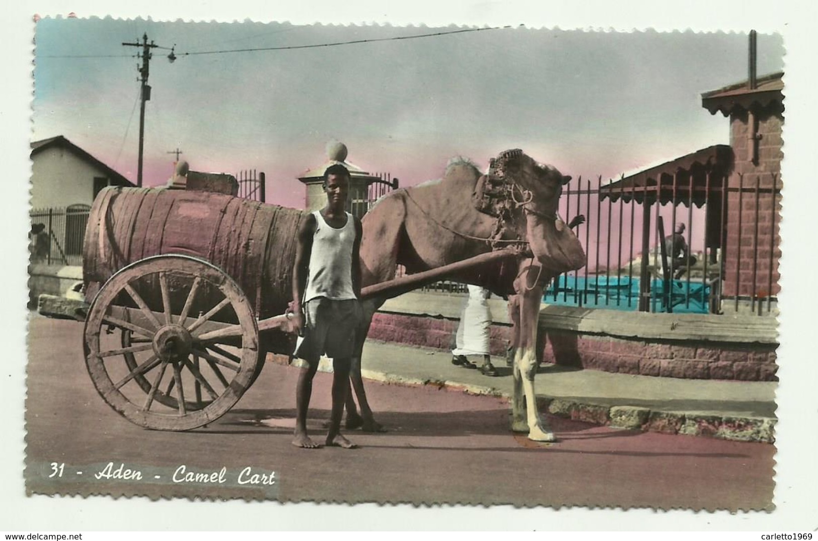 ADEN - CAMEL CART - NV FP - Yemen