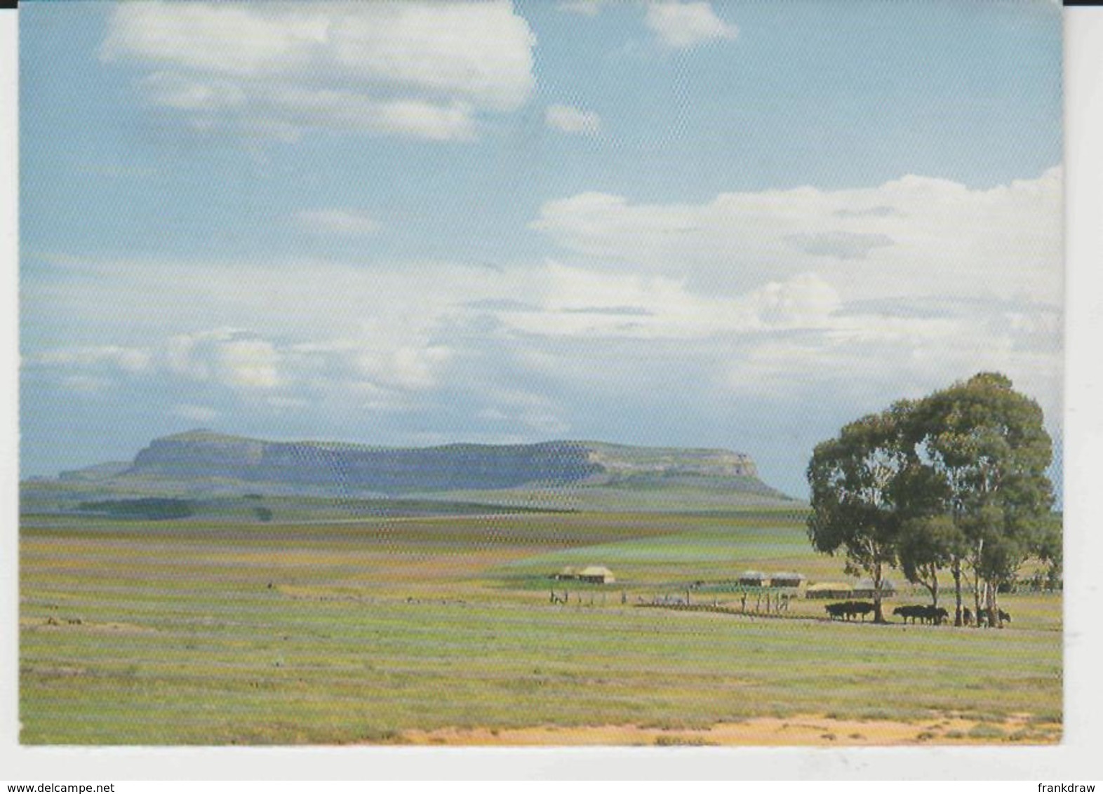 Postcard - Kerkenberg, Near Harrismith - O.F.S. - No Card No.. - Unused  Very Good - To Identify