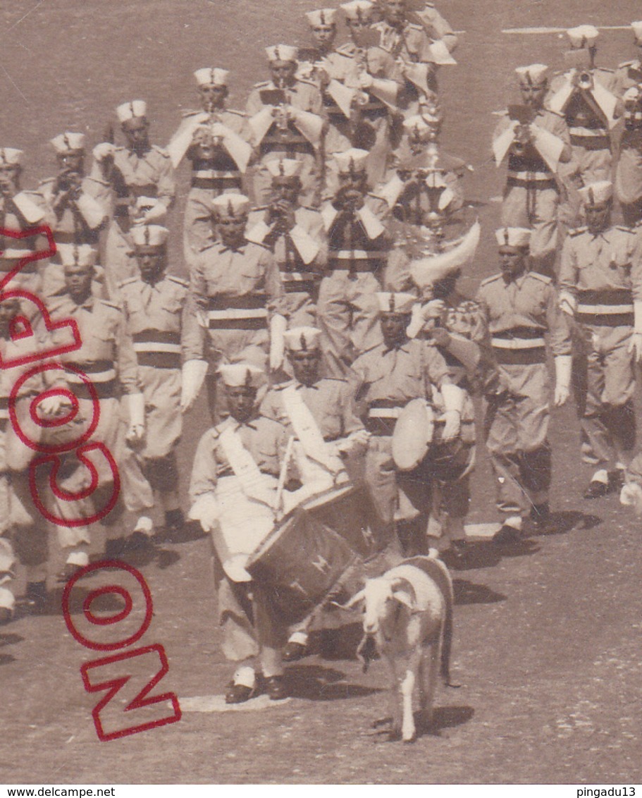 Au Plus Rapide Paris Défilé 14 Juillet Régiment Tirailleurs Marocains Mascotte Bélier - Guerre, Militaire